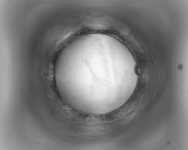 X0000093381301200711011241