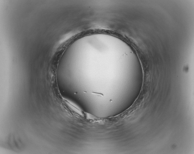 X0000093381303200711011241