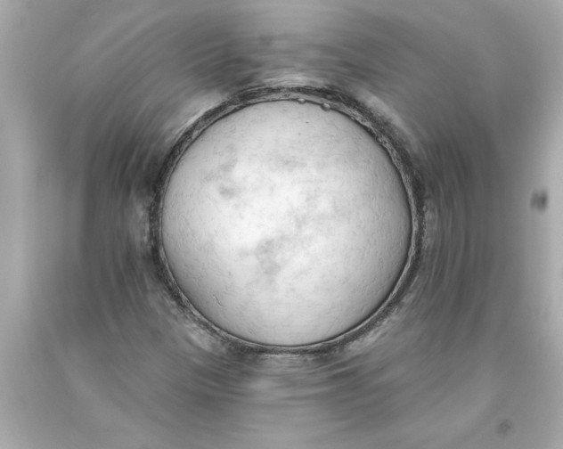 X0000093381305200711011241