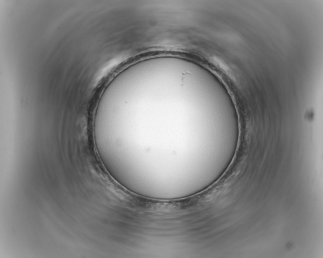 X0000093381307200711011241