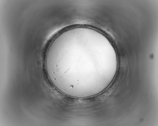 X0000093381311200711011241