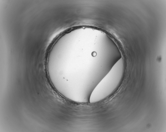 X0000093381312200711011241