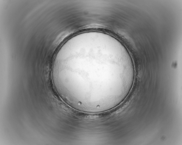 X0000093381313200711011241