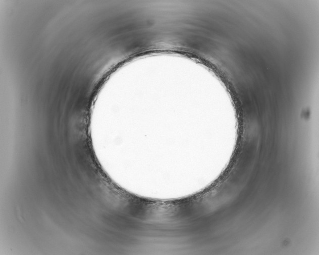 X0000093381314200711011241