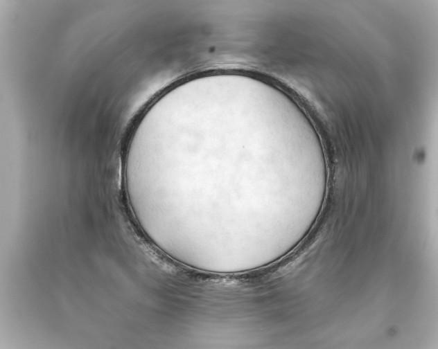 X0000093381317200711011241