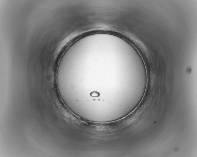 X0000093381318200711011241