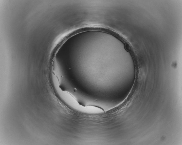 X0000093381319200711011241