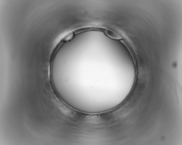 X0000093381320200711011241