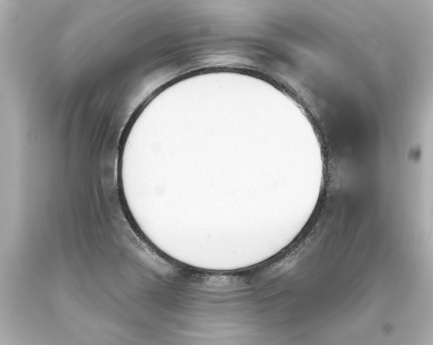 X0000093381322200711011241