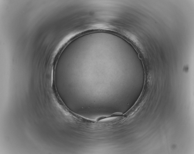 X0000093381323200711011242