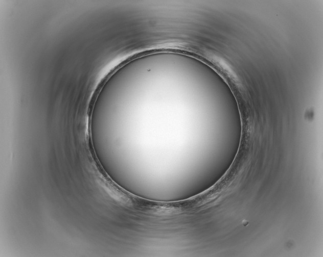 X0000093381324200711011242