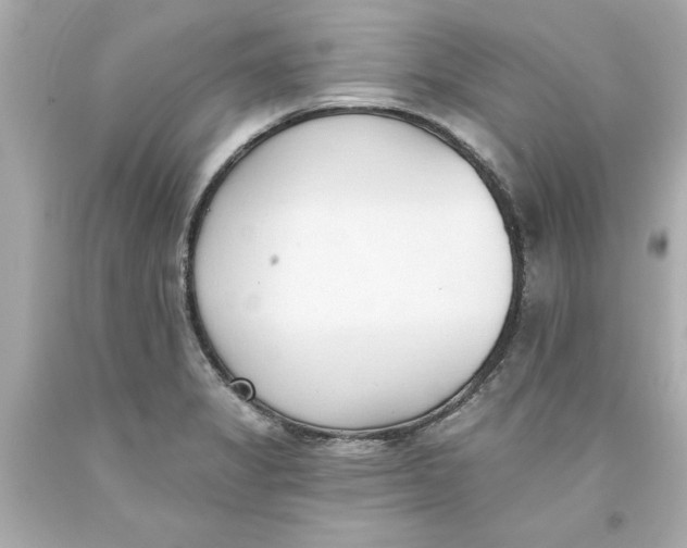 X0000093381325200711011242