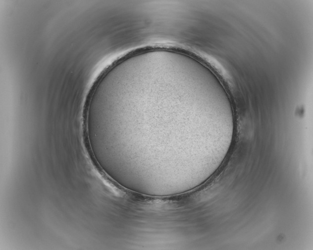 X0000093381327200711011242