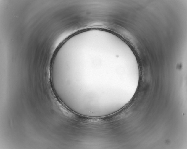 X0000093381328200711011242