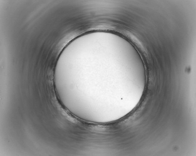 X0000093381329200711011242