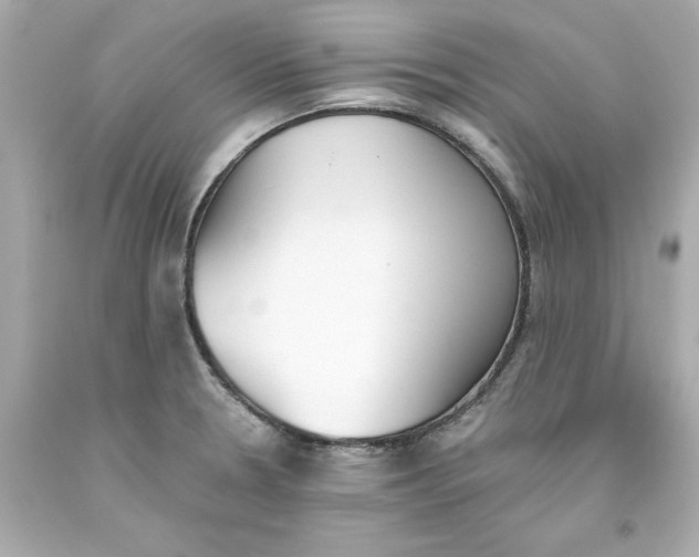 X0000093381330200711011242