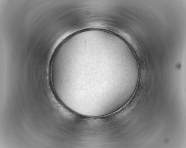 X0000093381331200711011242