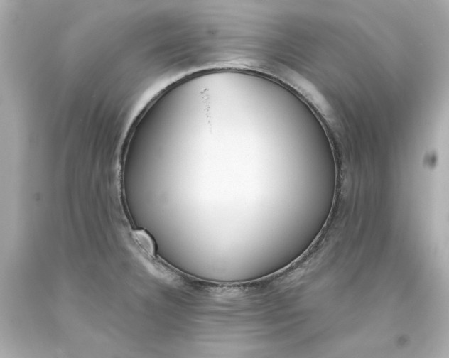 X0000093381332200711011242