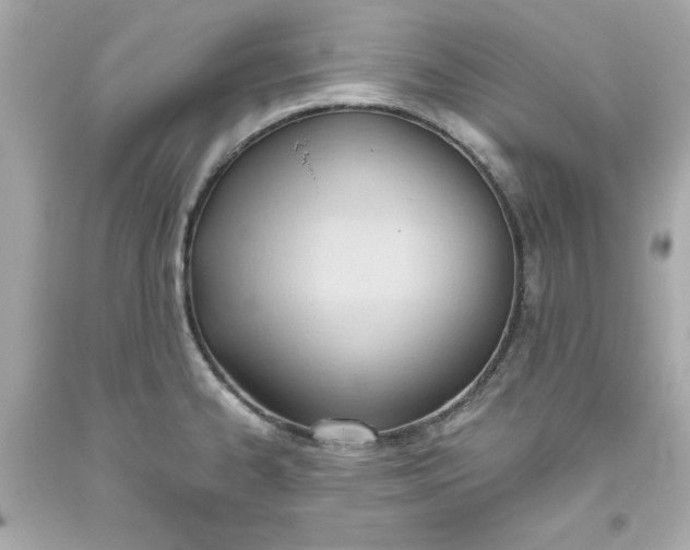 X0000093381334200711011242