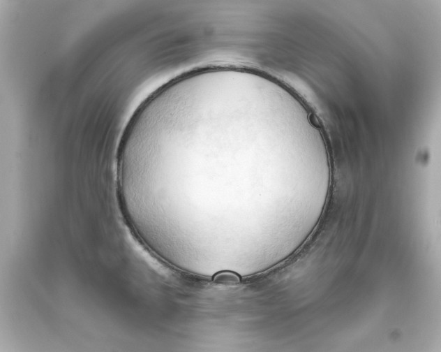 X0000093381335200711011242