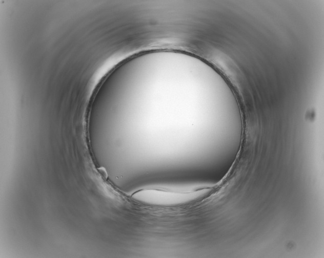 X0000093381336200711011242