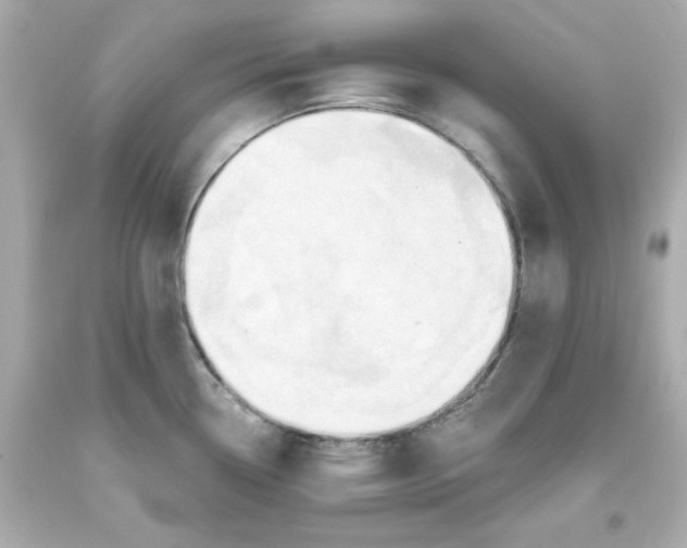 X0000093381338200711011242