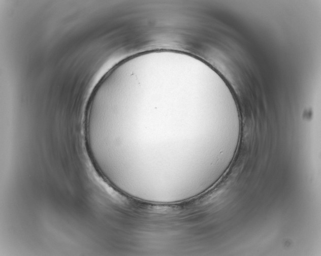 X0000093381339200711011242