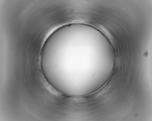 X0000093381340200711011242