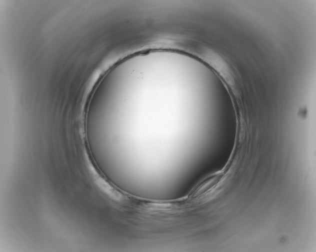 X0000093381342200711011242