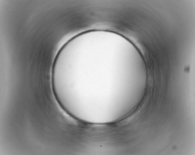 X0000093381343200711011242