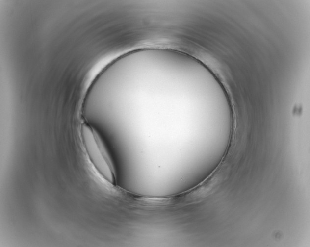 X0000093381344200711011242