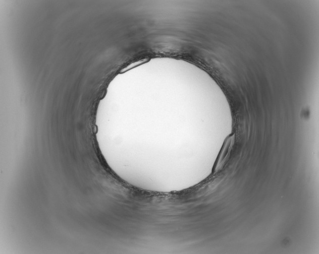 X0000093381345200711011241