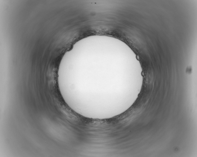 X0000093381346200711011241