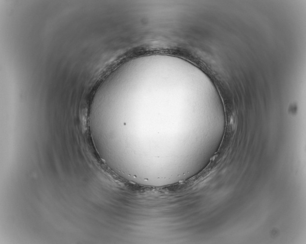 X0000093381348200711011241