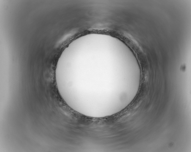 X0000093381350200711011241