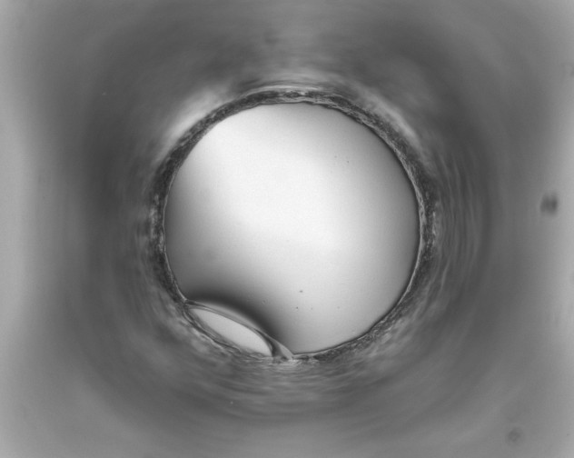 X0000093381352200711011241