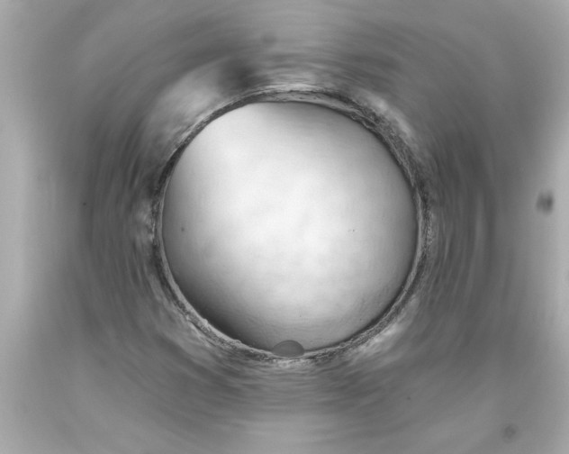 X0000093381353200711011241