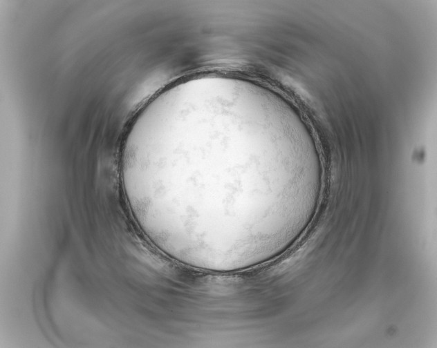 X0000093381354200711011241