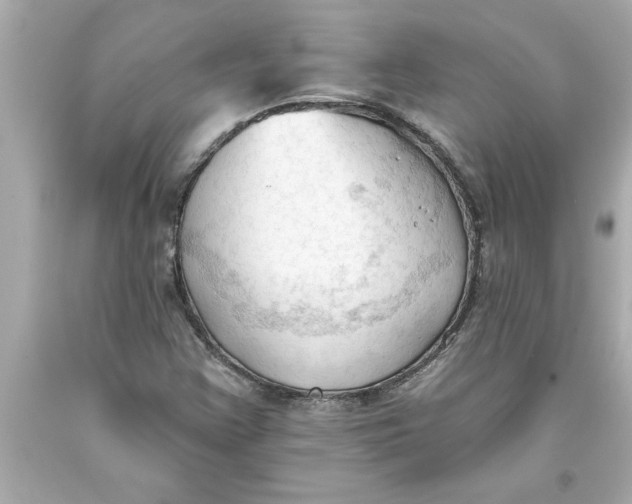 X0000093381355200711011241