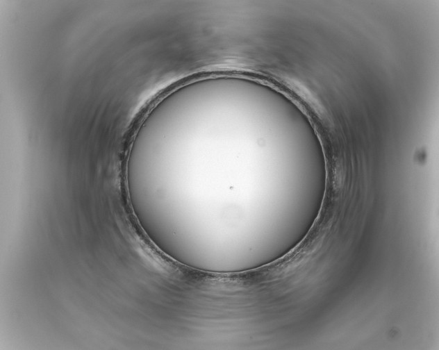 X0000093381356200711011241