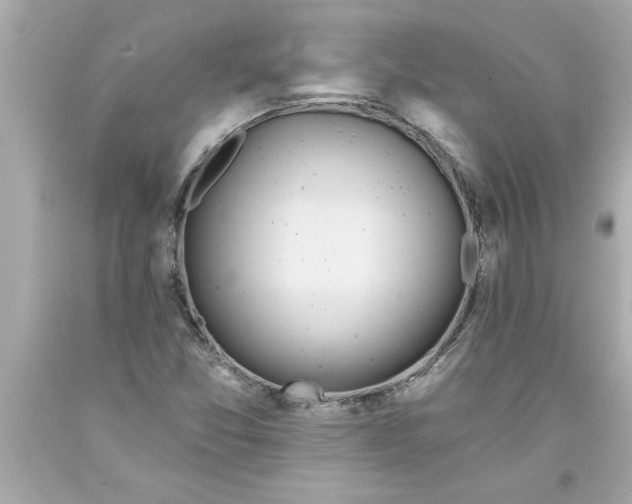 X0000093381357200711011241