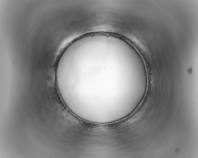 X0000093381358200711011241