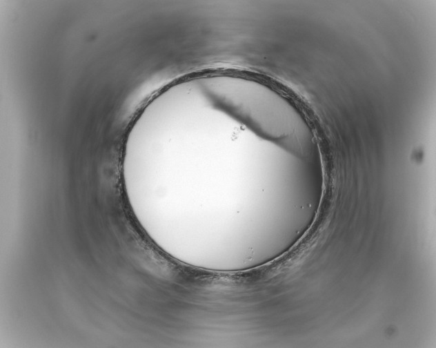 X0000093381359200711011241