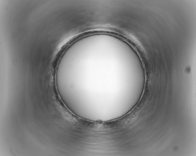 X0000093381360200711011241