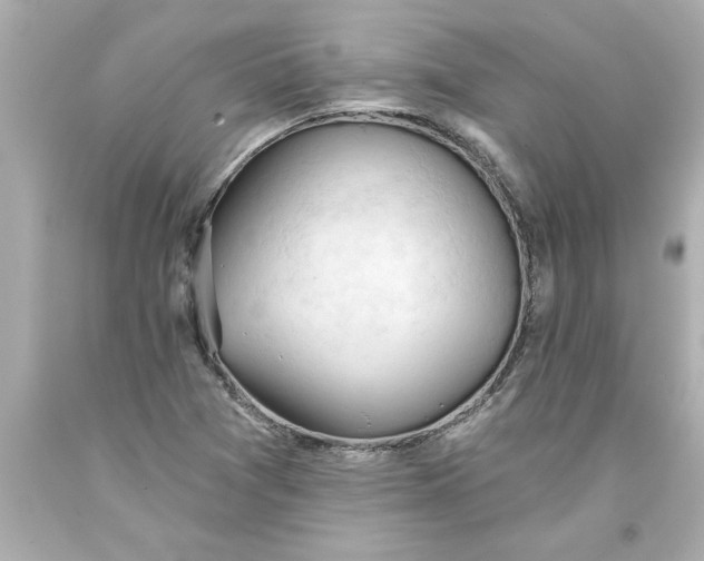 X0000093381361200711011241