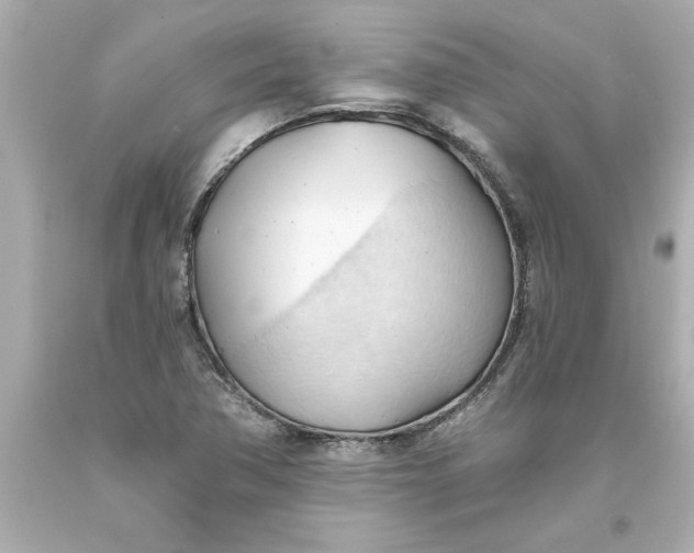 X0000093381362200711011241