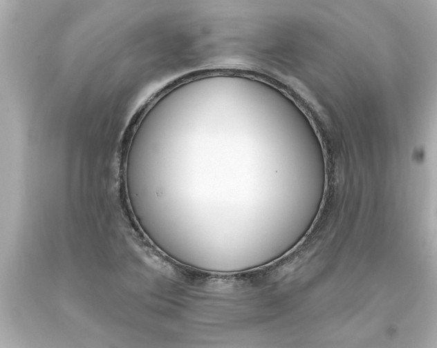 X0000093381364200711011241