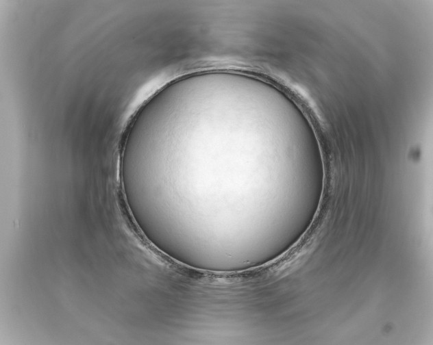 X0000093381365200711011241