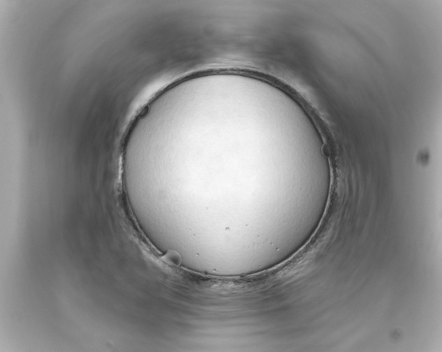 X0000093381366200711011241