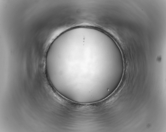 X0000093381367200711011241